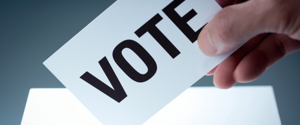 A Guide to HOA Elections